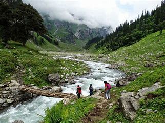 Taxi services in kasol